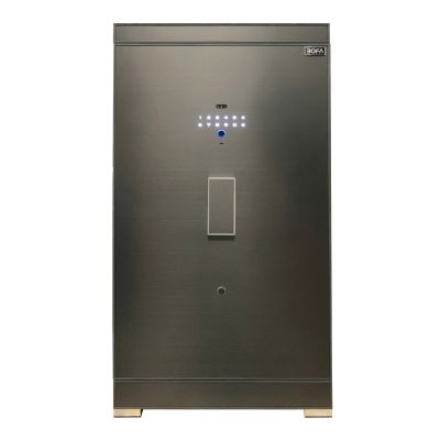 Két sắt BOJIN SERIES BJ-100LJ