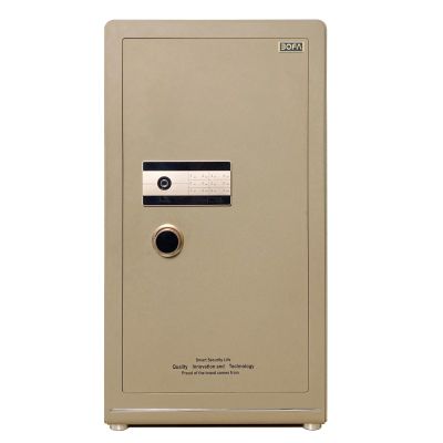 Két sắt BOJIN SERIES BF-V-100BJ